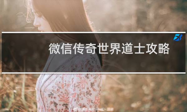 微信传奇世界道士攻略
