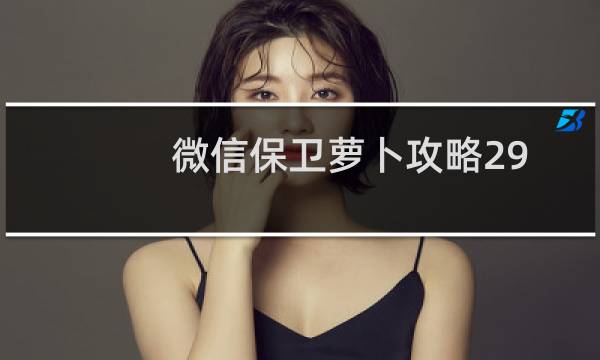 微信保卫萝卜攻略29