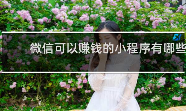 微信可以赚钱的小程序有哪些