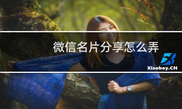 微信名片分享怎么弄