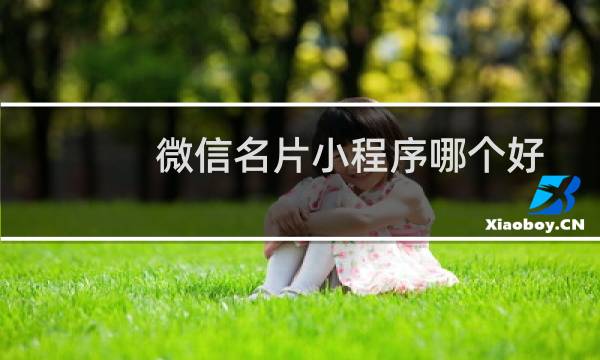 微信名片小程序哪个好