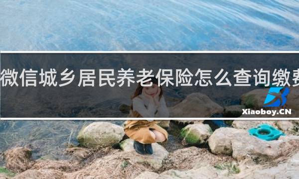 微信城乡居民养老保险怎么查询缴费记录