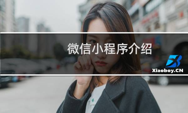 微信小程序介绍