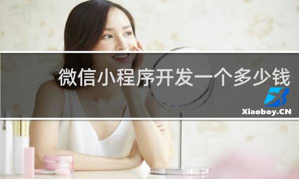 微信小程序开发一个多少钱