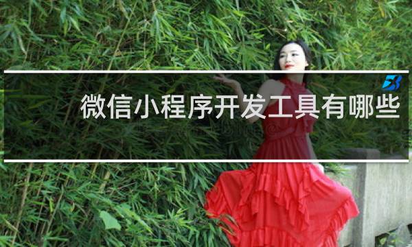 微信小程序开发工具有哪些