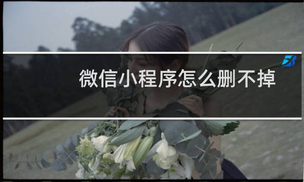 微信小程序怎么删不掉