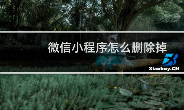 微信小程序怎么删除掉