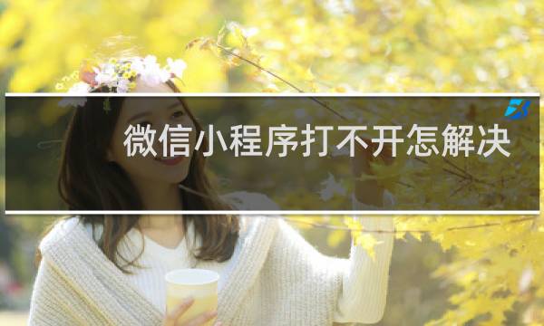 微信小程序打不开怎解决