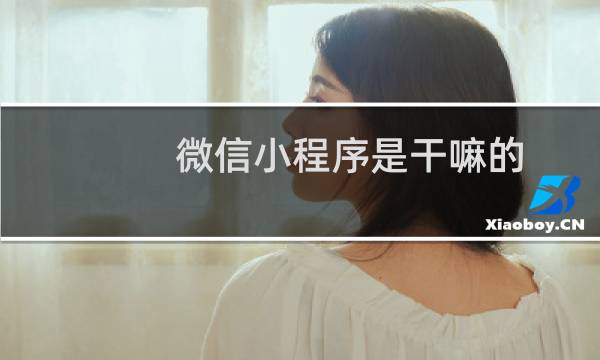 微信小程序是干嘛的