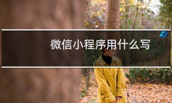 微信小程序用什么写