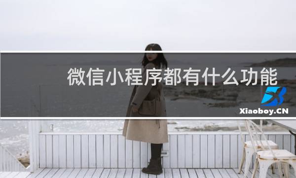微信小程序都有什么功能