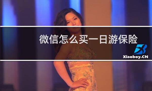 微信怎么买一日游保险