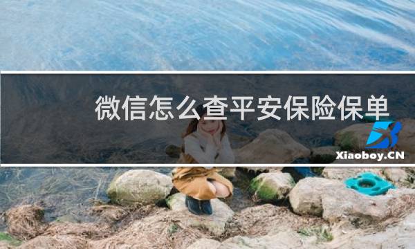 微信怎么查平安保险保单
