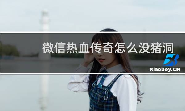 微信热血传奇怎么没猪洞
