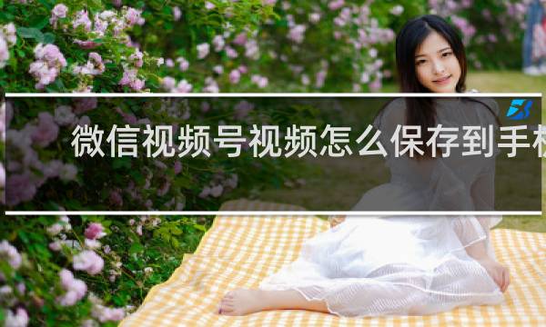 微信视频号视频怎么保存到手机