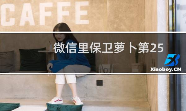 微信里保卫萝卜第25