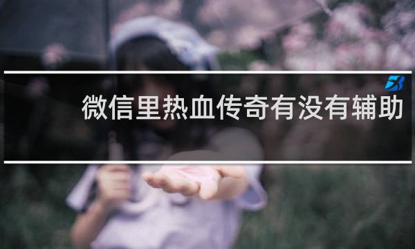 微信里热血传奇有没有辅助
