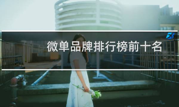 微单品牌排行榜前十名