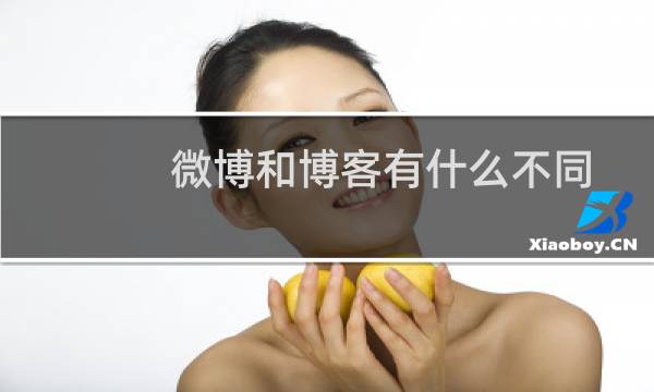 微博和博客有什么不同