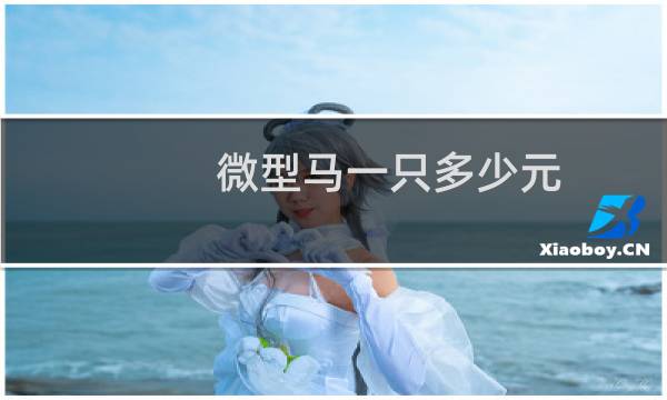 微型马一只多少元