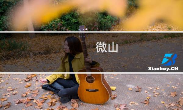 微山 景点