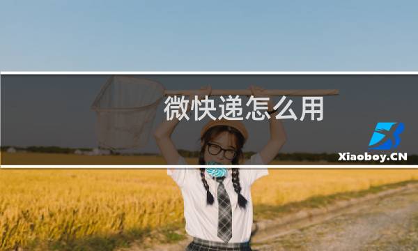 微快递怎么用