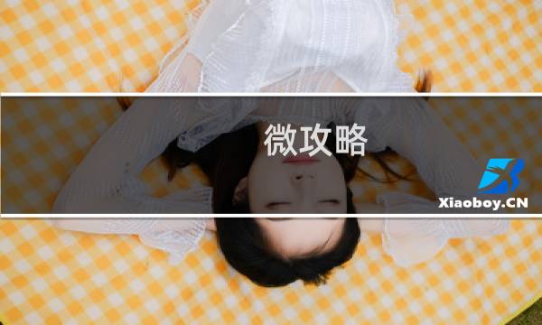 微攻略