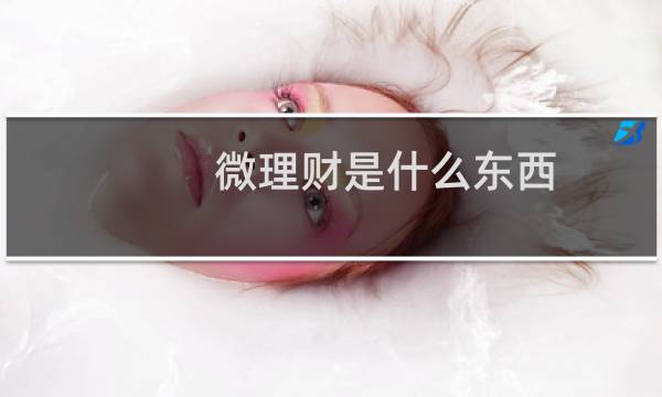 微理财是什么东西