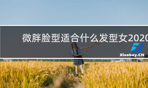 微胖脸型适合什么发型女2020