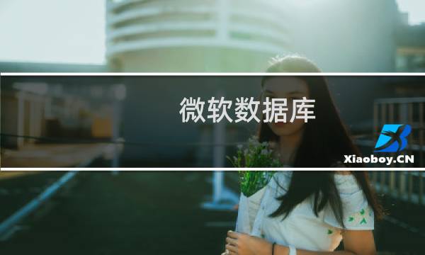 微软数据库