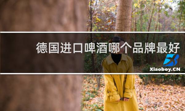 德国进口啤酒哪个品牌最好