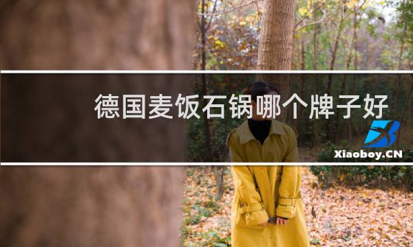 德国麦饭石锅哪个牌子好