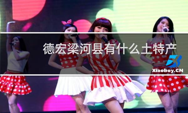德宏梁河县有什么土特产