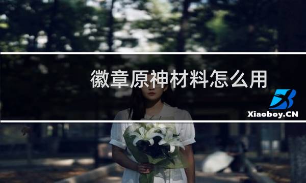 徽章原神材料怎么用