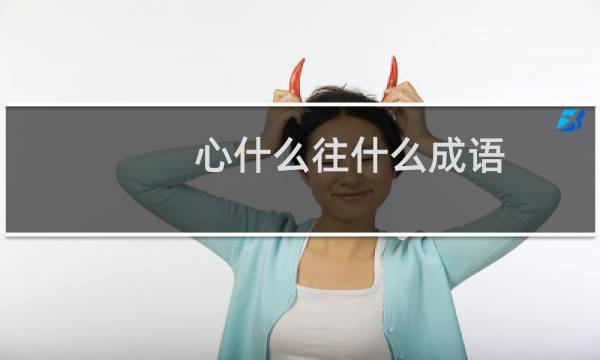 心什么往什么成语