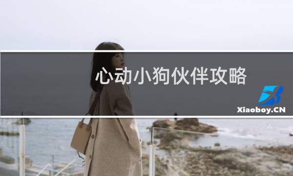 心动小狗伙伴攻略