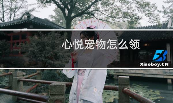 心悦宠物怎么领