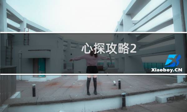 心探攻略2