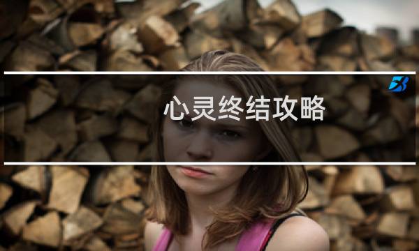 心灵终结攻略