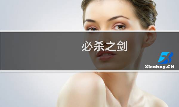 必杀之剑 攻略