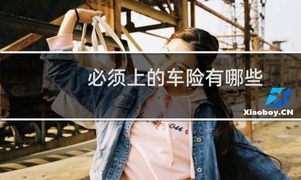 必须上的车险有哪些