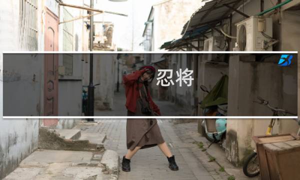 忍将 攻略