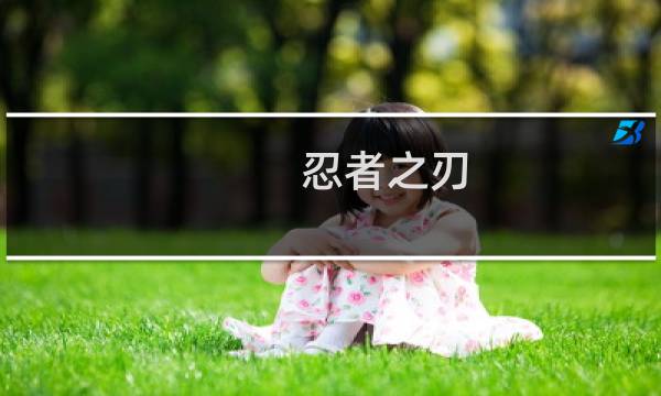 忍者之刃 攻略