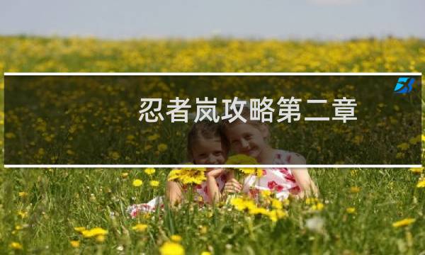 忍者岚攻略第二章