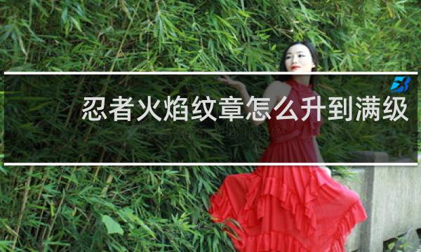 忍者火焰纹章怎么升到满级
