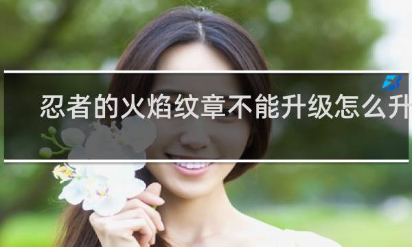 忍者的火焰纹章不能升级怎么升级