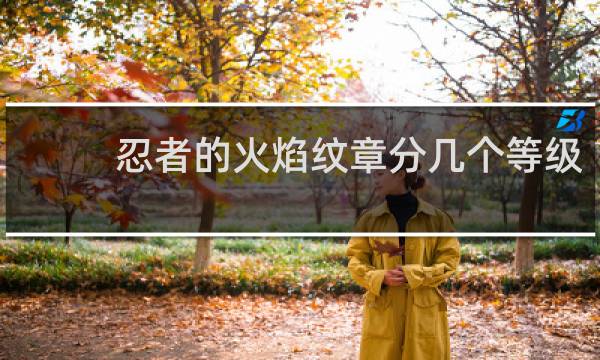 忍者的火焰纹章分几个等级