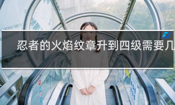 忍者的火焰纹章升到四级需要几个