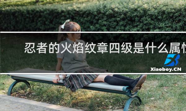忍者的火焰纹章四级是什么属性