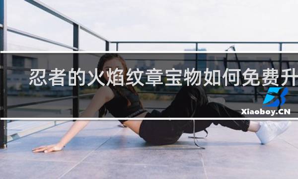 忍者的火焰纹章宝物如何免费升级